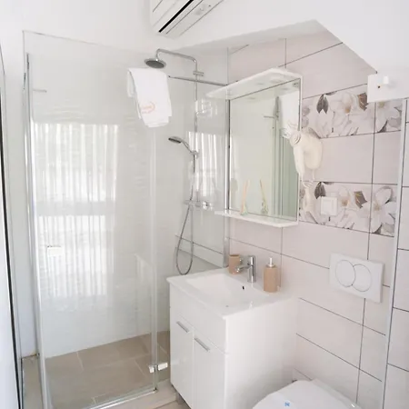 Palada 1 * 巴斯卡