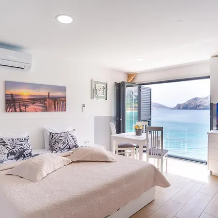 Palada 1 * 巴斯卡